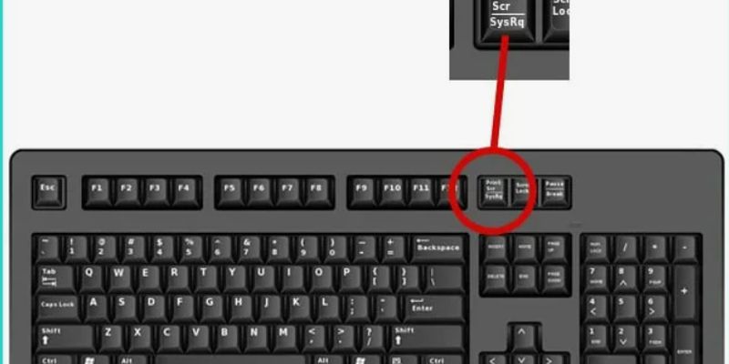 Как сделать скриншот на компьютере с помощью клавиатуры